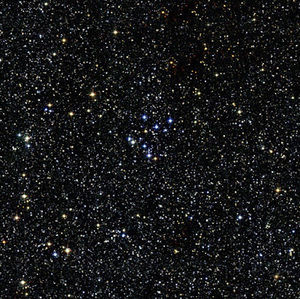 Meet your Posher, Tizzy